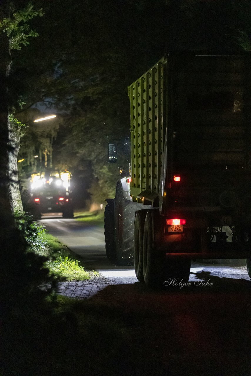 Bild 17 - Maisernte